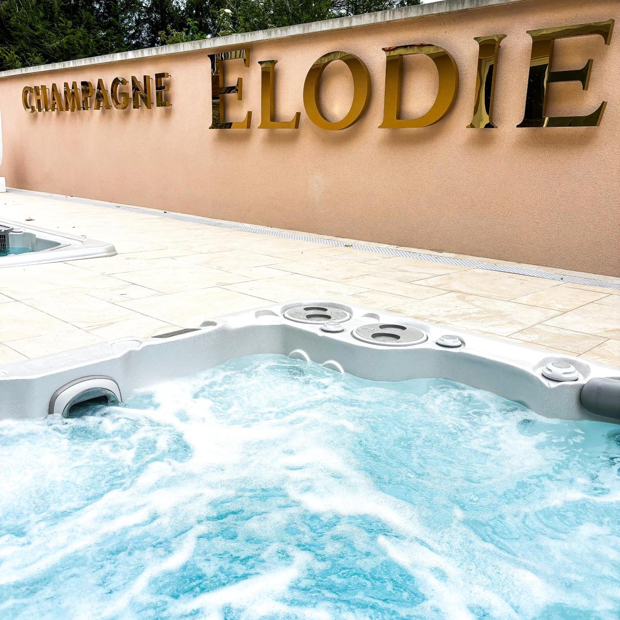 La Demeure D'Elodie Epernay Bagian luar foto
