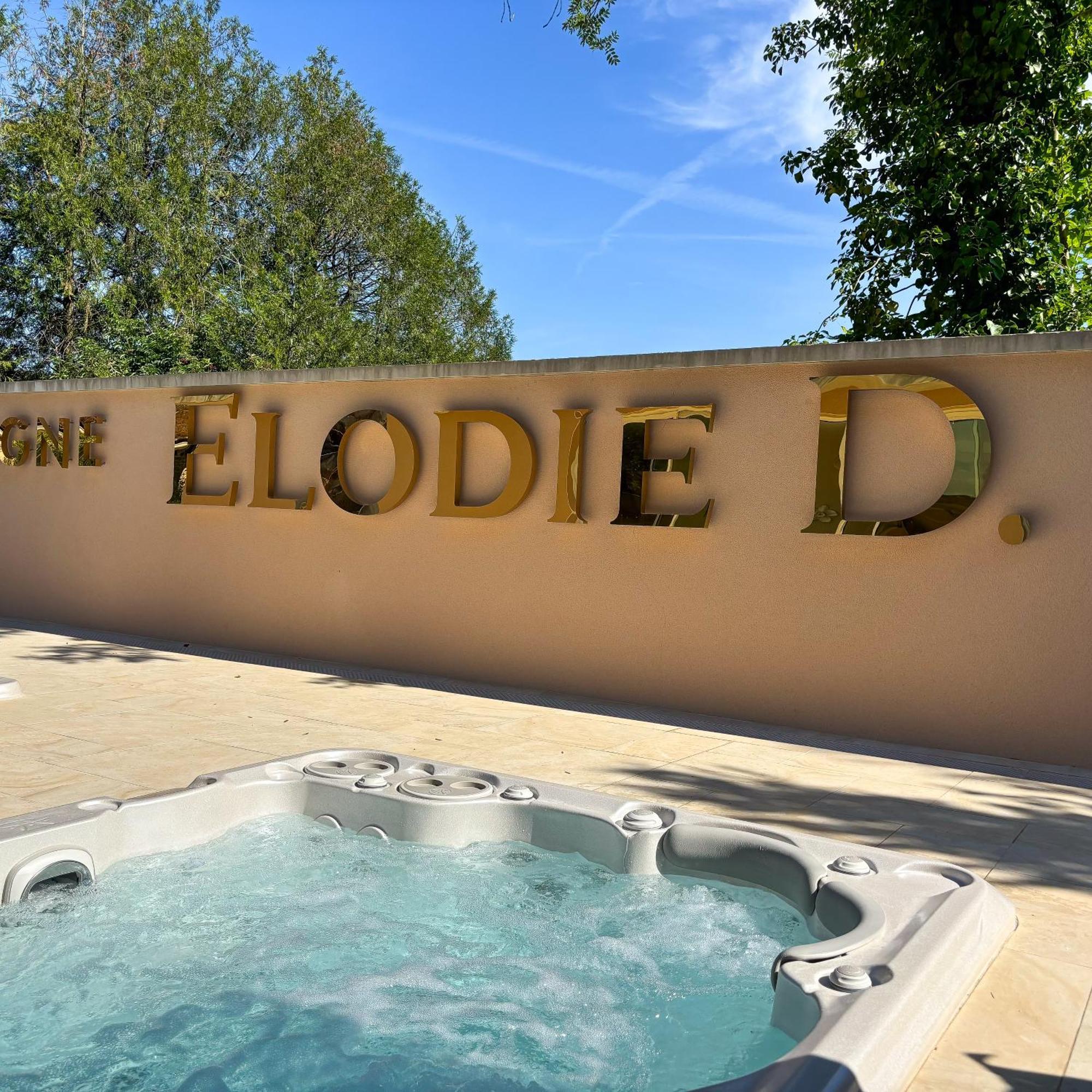 La Demeure D'Elodie Epernay Bagian luar foto