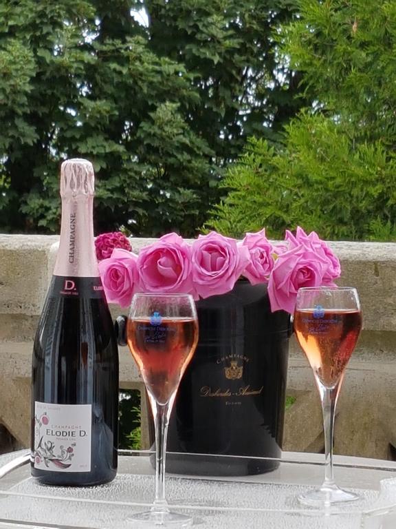 La Demeure D'Elodie Epernay Bagian luar foto